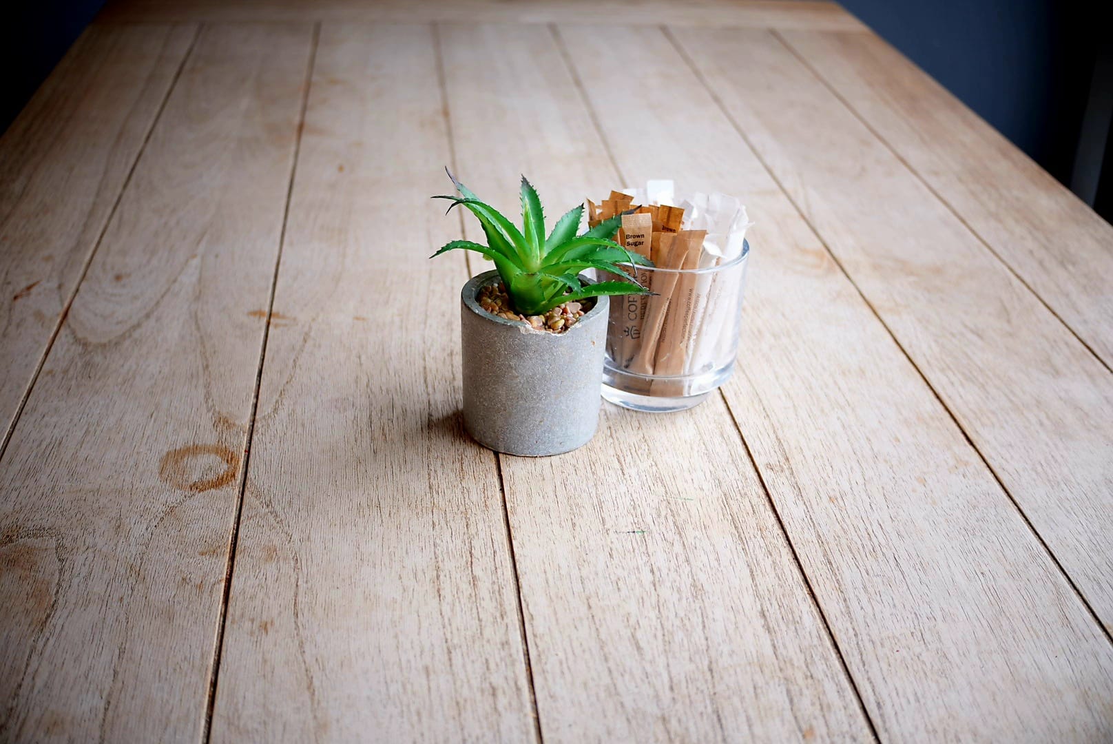 Coffee Shop Plant