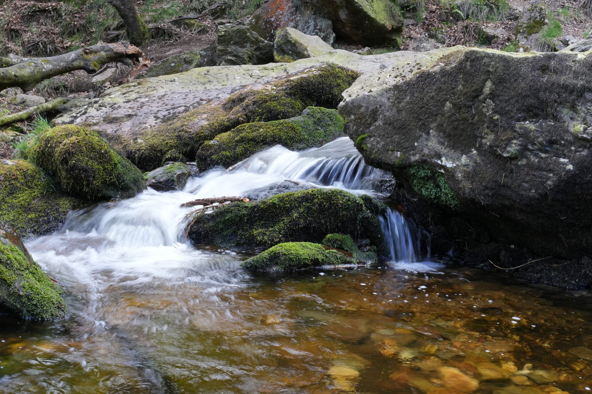 Powerscourt Waterfall