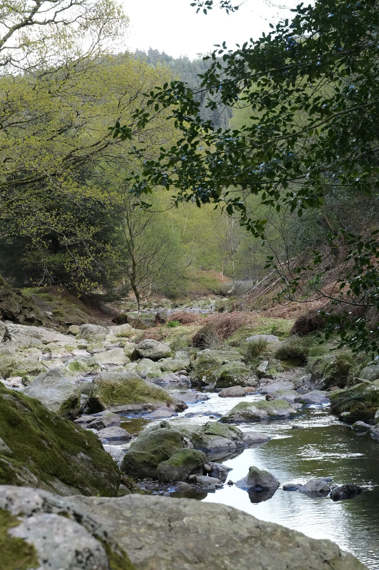 Powerscourt Waterfall