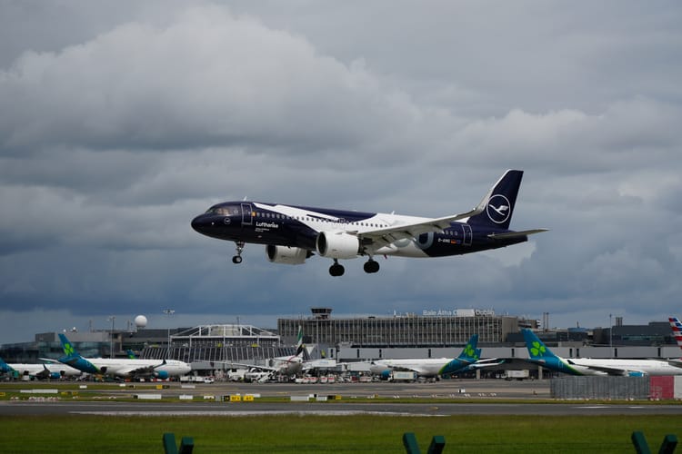 Centenary Cranes on Pretty Planes